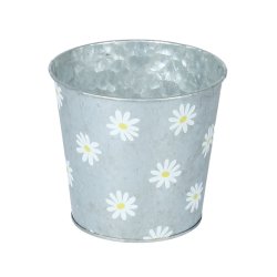 Daisy zink skjuler 2