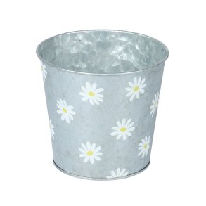 Daisy zink skjuler 2