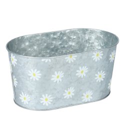 Daisy zink skjuler 1