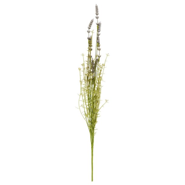 Buket lavendel