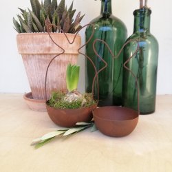 S�t med tr�d hare med sk�l rust