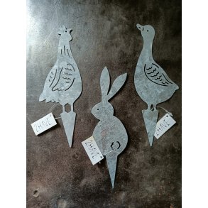 Zink kanin-g�s- hane