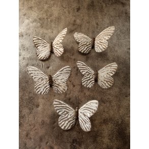 Sommerfugle zebra strib