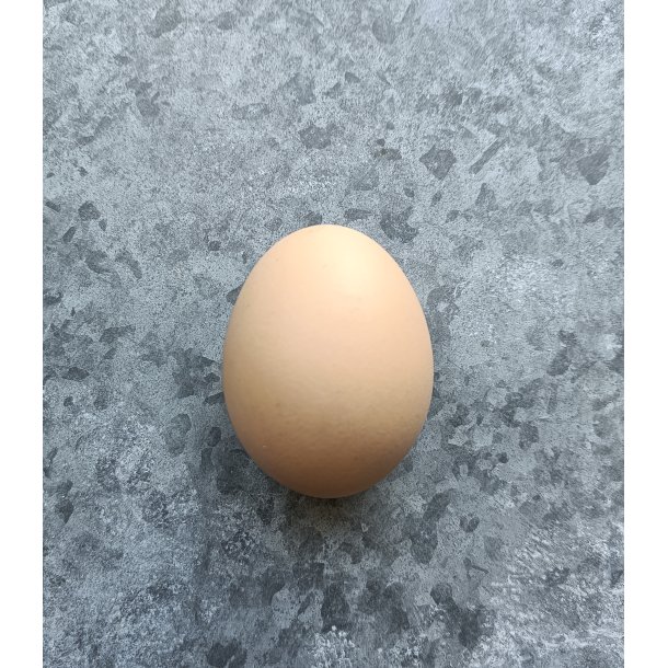 Hnseg Brun