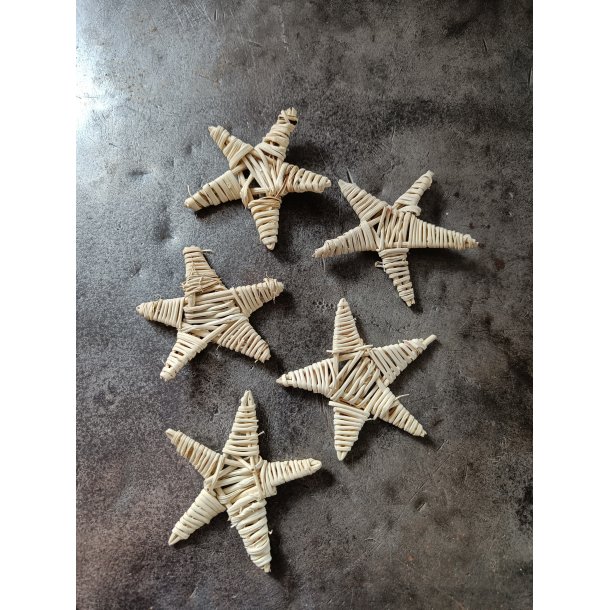 Lata Star