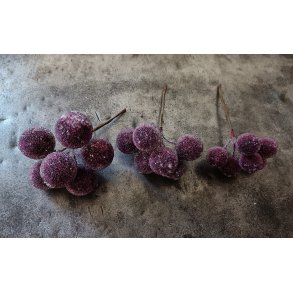 Frost blomme p� stilk