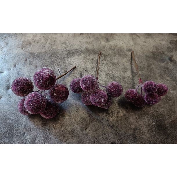 Frost blomme p stilk