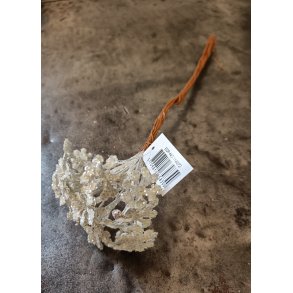 Blomst p� tr�d Hvid glitter