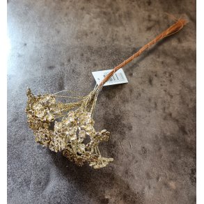 Blomst p� tr�d Guld glitter