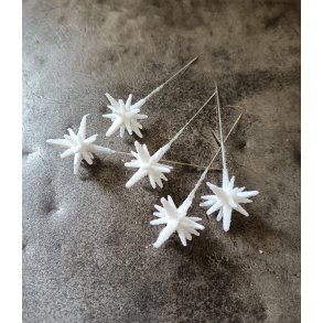 Stjerne frossen p� stick