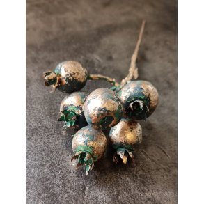 B�rgren p� tr�d irgr�n