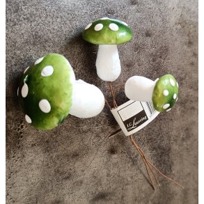 Svampe gr�n p� stik