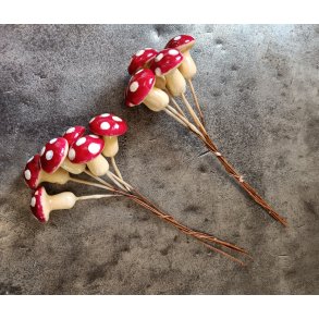 Svamp r�d p� stik