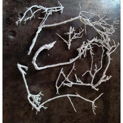 Hvide deko grene stykker