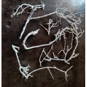 Hvide deko grene stykker