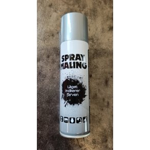 Spraymaling s�lv