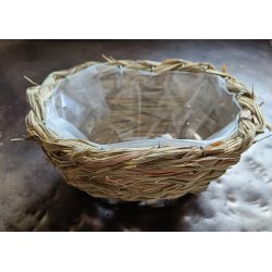 Plante kurv sgrs stor