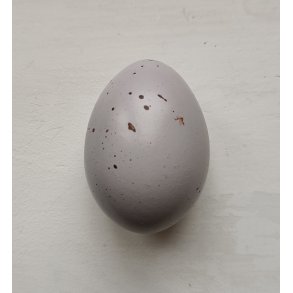 Pastel farvet h�nse�g