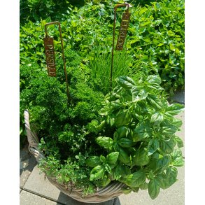 Krydderurte skilt Purl�g