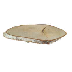 Tr�skive Birk