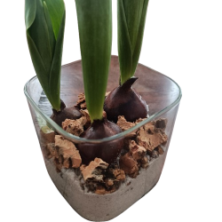 Natur kork 0,5 -1 cm