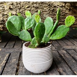 Rund beton skjuler m/ rille kant lille