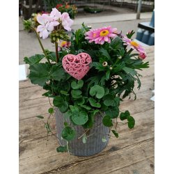 Hjerter lyserd p pind