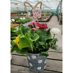 Sommerfugle lyserd p pind 