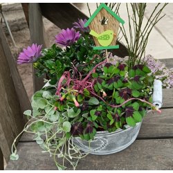 Fuglehus Pink p pind