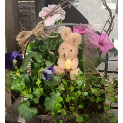 Plys Pske hare med g p pind