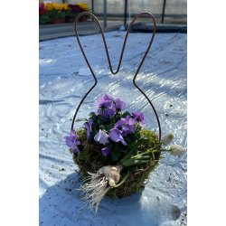 S�t med tr�d hare med sk�l rust