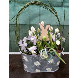 Daisy zink skjuler 3