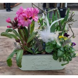 Fjer p pind Hvid/Brun