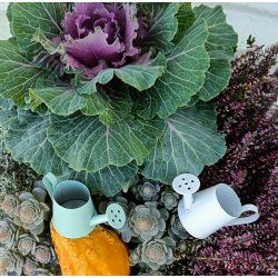 Pynte zink vandkander