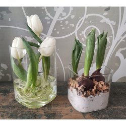 Natur kork 1,5 -3 cm