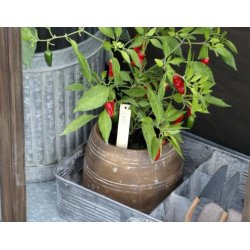 Planteskilt Chic Antique