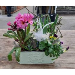 Zink skjuler mint grn lille