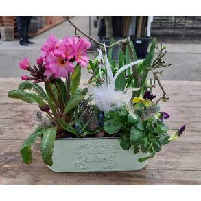 Zink skjuler mint gr�n lille