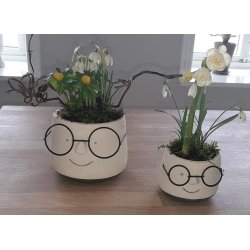 Urtepotte med briller Mini