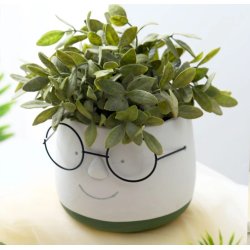 Urtepotte stor med briller 