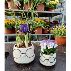 Urtepotte med briller Mini