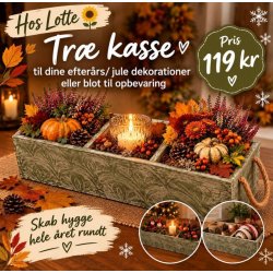 Tr� kasse