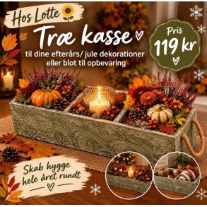 Tr� kasse