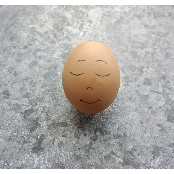Hnseg med ansigt lukket jne