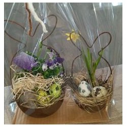 S�t med tr�d hare med sk�l rust