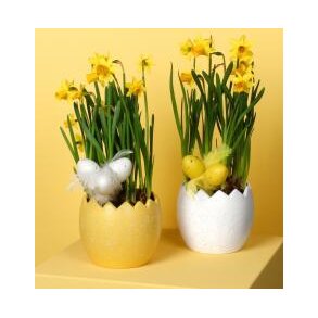 P�ske skjuler Hvid