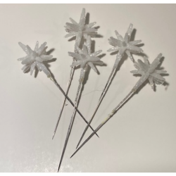 Stjerne frossen p stick